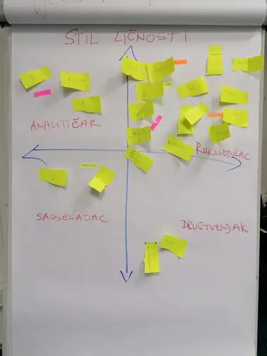 Participants social styles
