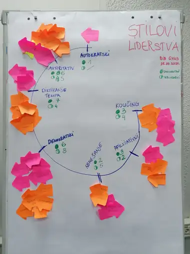 Participants leadership styles